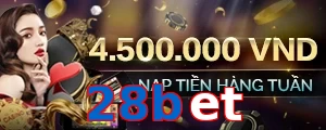 28bet